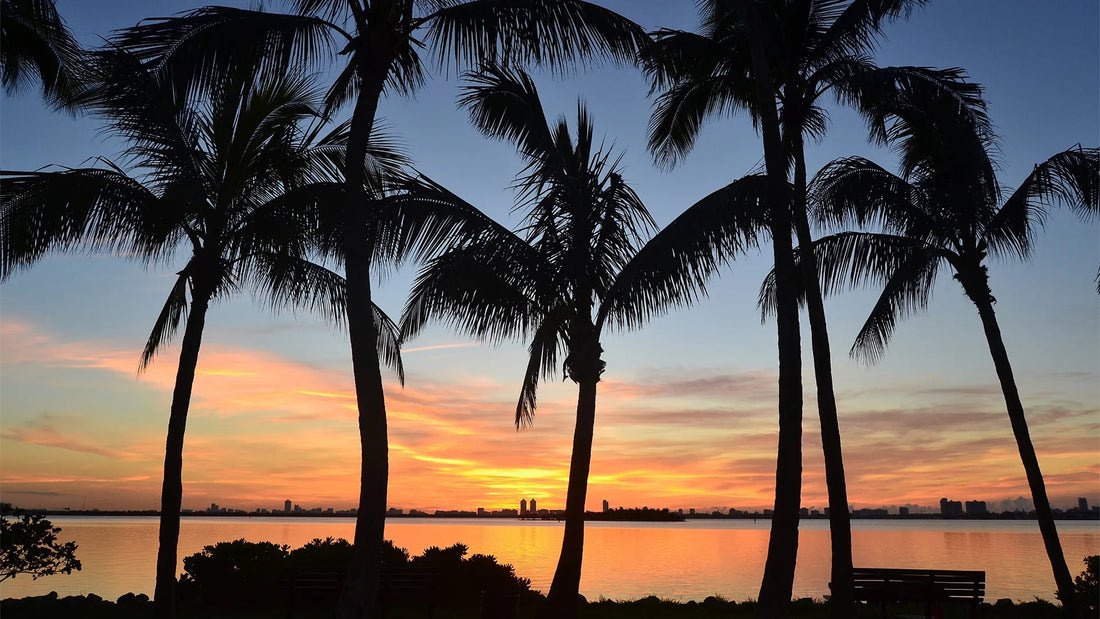 Breathe the Florida Difference