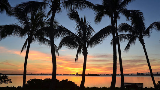 Breathe the Florida Difference