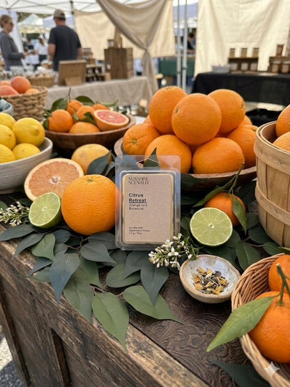 Citrus Retreat Soy Wax Melt, Orange and Botanical